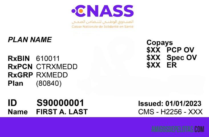 Cartão de Seguro de Saúde da Mauritânia baixar para verificação